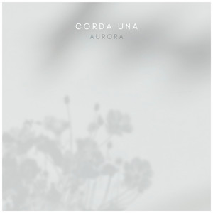 看看靠逼的毛片贷款容易
